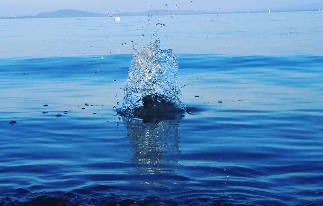 Les ronds dans l’eau
